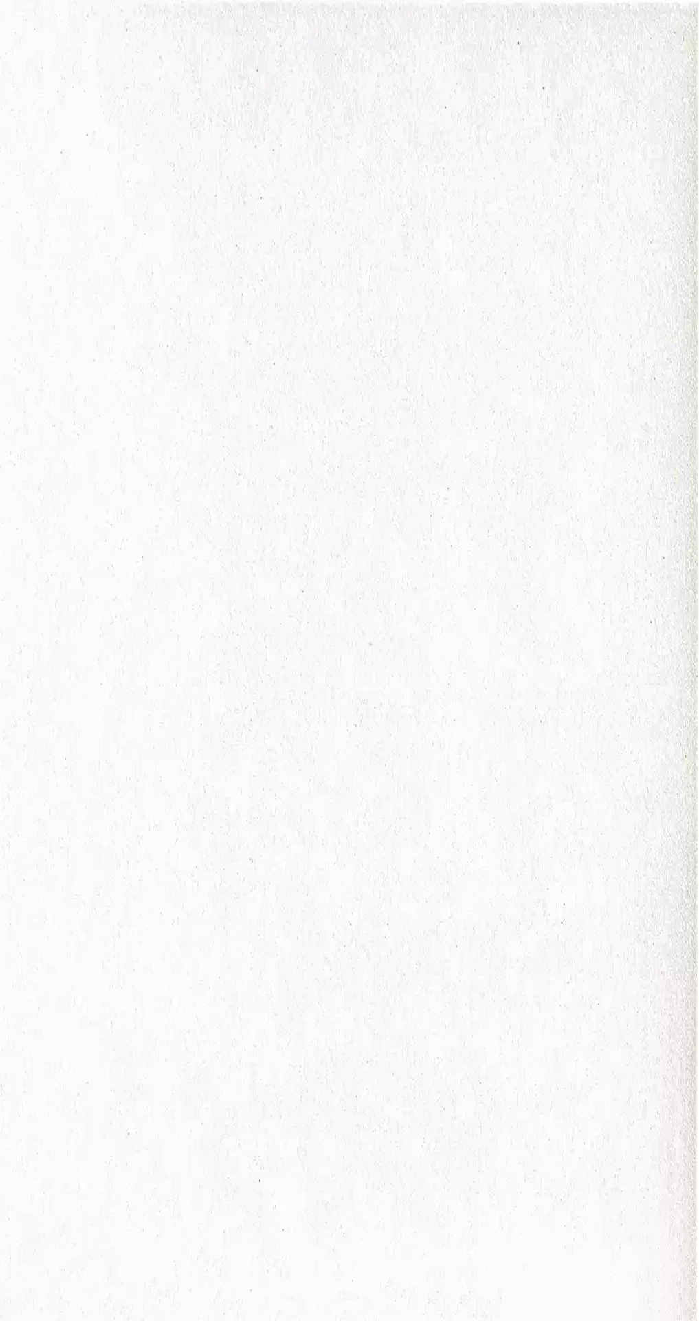 Cerâmica Aurora Branco 46x46 Cerbras